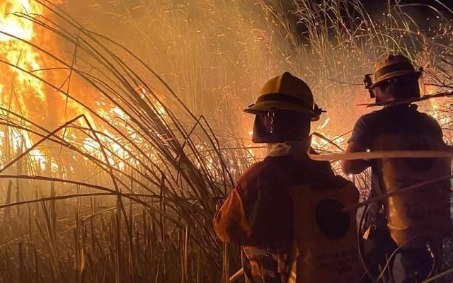 La ciénega volvió a arder… y hoy ya no es solo indignación, es acción.