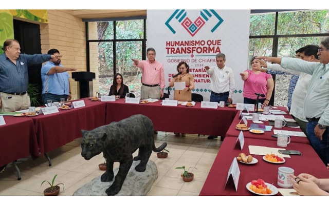 Servicios ecosistémicos: lo que la naturaleza nos da y que hoy Chiapas decide proteger con más fuerza