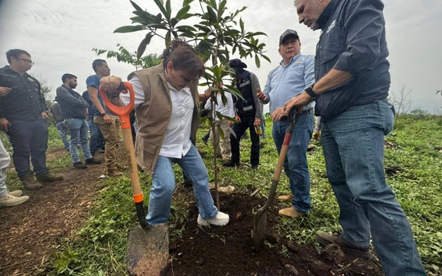 Reforestación en el pulmón de Tuxtla Gutiérrez, el Mirador del Cañón del Sumidero: sembrando hoy los árboles que darán vida al mañana.