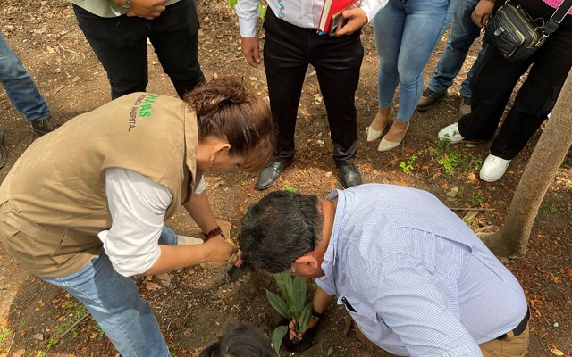El planeta también juega: sumamos esfuerzos por un entorno más verde