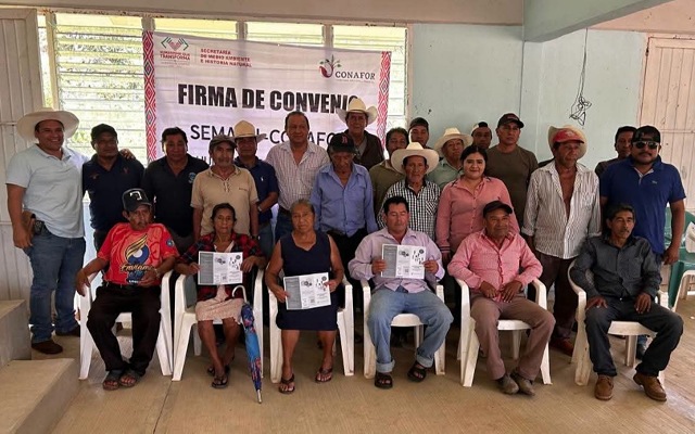 Servicios ambientales que protegen la naturaleza y fortalecen a las comunidades