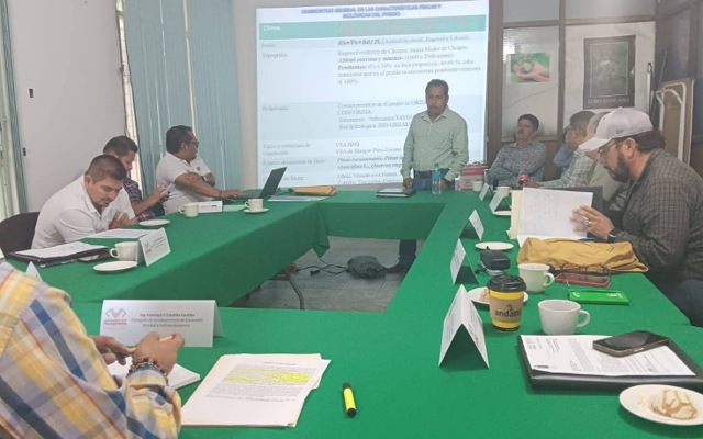 Séptima Sesión Extraordinaria del Comité de Manejo Forestal